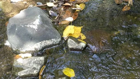 Cool clear water in a small river 9 Stock Footage 207771475