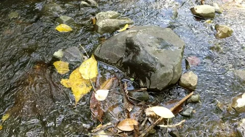 Cool clear water in a small river 4 Stock Footage 207899464
