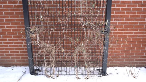 A Cool Effect of a Wire Mesh 스톡 동영상 127500486