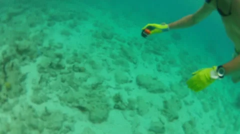 Cool fish in the Atalantic waters Stock Footage 42688091