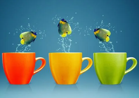 Cool Fish Stock Photos