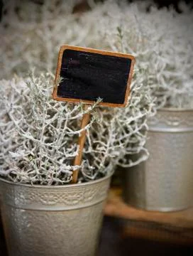 Cool flowerpots Stock Photos