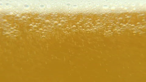 Cool fresh beer Stock Footage 448223