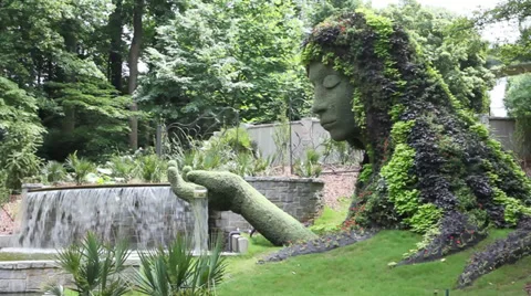 Cool Garden  스톡 동영상 33892448