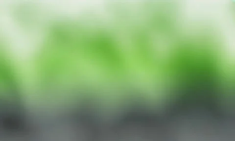 A cool green and light grey gradient background Stock Footage 304565548