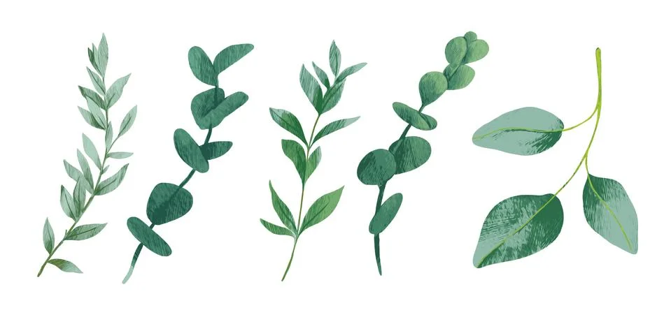 Cool greenery elements collection with five leaves Illustrazione stock