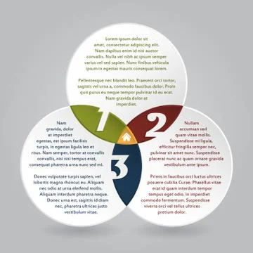 Cool infographic circles design with options Stock Illustration