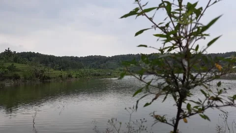 Cool lake Stock Footage 207387915