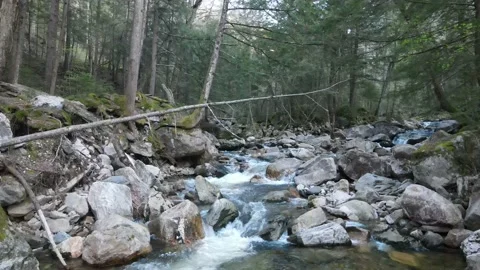 Cool little stream pull out shot showing the beautiful little drops Stock Footage 130824833