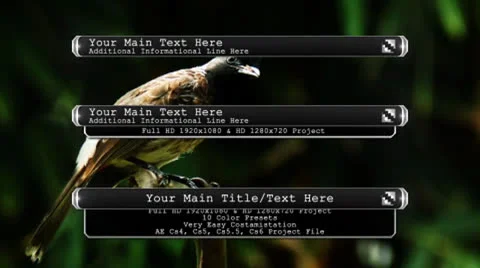 Cool Lower Third Stock After Effects