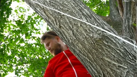 Cool man in red sitting on a tree Stock Footage 79644494