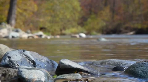 Cool mountain stream Stock Footage 43054447