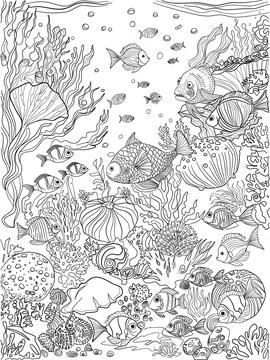 Cool  ocean-themed Сoloring book for adults and children Stock Illustration