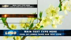 Cool Op Lower Third Stock After Effects