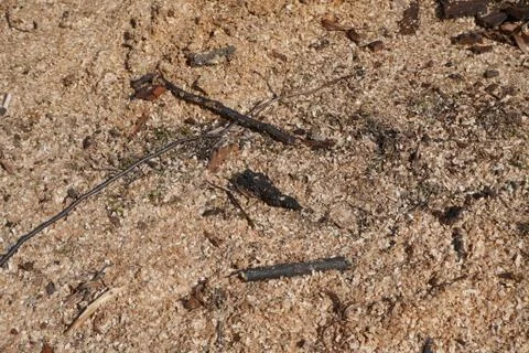 A cool pattern of pieces of wood 写真素材