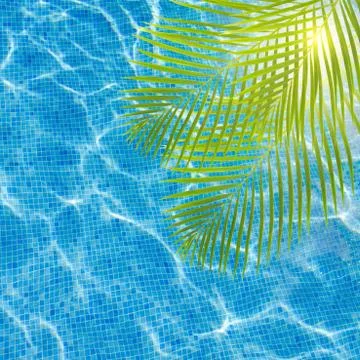 Cool pool water with palm tree 스톡 일러스트