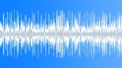 Cool reggae B Maj 89 bpm - LOOP 2 Stock Music