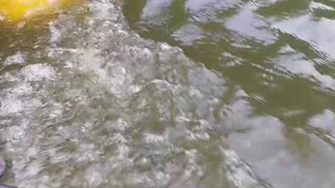 Cool river flow Stock Footage 239450825