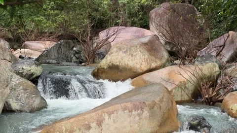 Cool river water moves gently through rocky channels surrounded by lush green Stock Footage 324712192