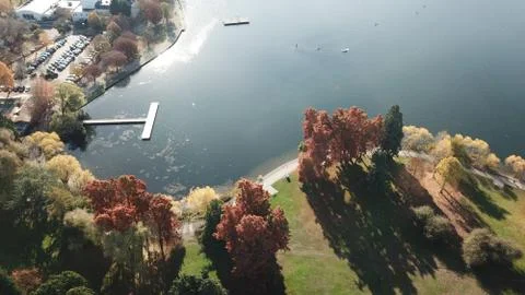 Cool Shadow from Fall colored trees Stock Photos