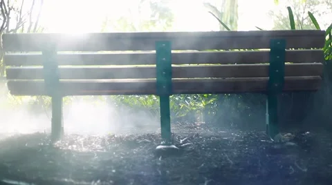 Cool shot of a bench at a jungle or forest with smoke and great lighting Stock Footage 56223147