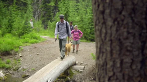 Cool shot of hikers crossing a log Stock Footage 59084995