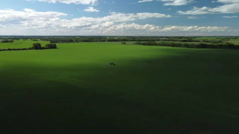 Cool Shot of Sprayer on Field. Stock Footage 156474322