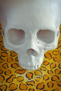 Cool Skull Stock Photos