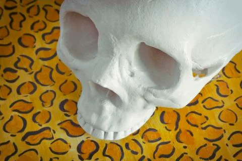 Cool Skull Фото