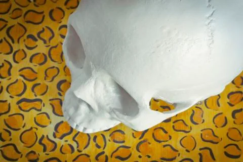 Cool Skull Foto stock