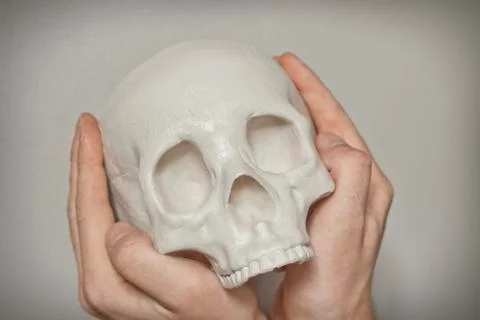 Cool Skull Stock-Fotos