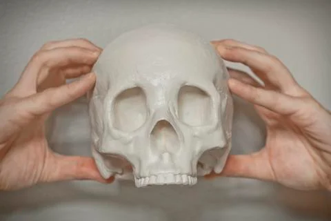 Cool Skull Stock Photos