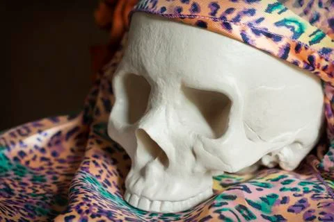 Cool Skull Stock-Fotos