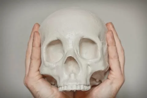 Cool Skull Stock Photos