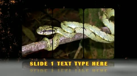 Cool Slice Presentation 스톡 After Effects