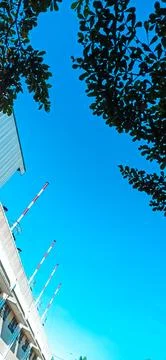 Cool smartphone wallpapers 写真素材