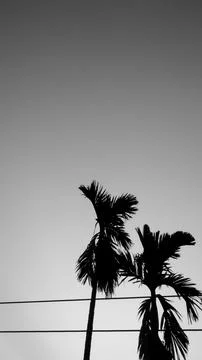 Cool smartphone wallpapers Stock Photos