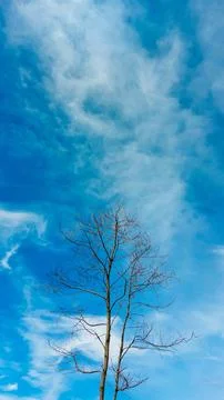 Cool smartphone wallpapers Stock Photos