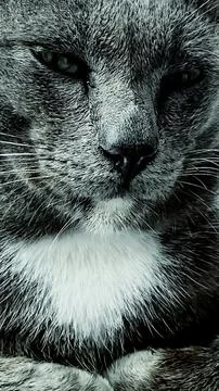 Cool smartphone wallpapers Stock Photos