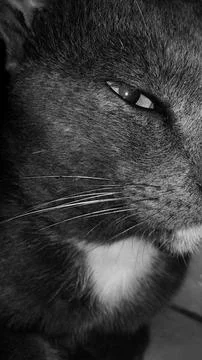 Cool smartphone wallpapers Stock Photos
