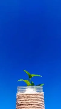 Cool smartphone wallpapers Stock Photos