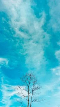 Cool smartphone wallpapers Stock Photos