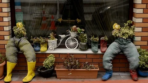 Cool Store Window With Garden Stock Footage 106497163