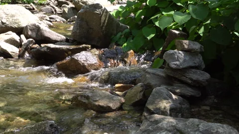 Cool stream flowing through a valley Vídeos de archivo 335550983