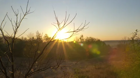 Cool sun-rise motion time-lapse in forest with nature and sun Stock Footage