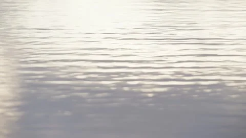 Cool Sunlight Reflections on Water Ripples – Loopable 4K Background Stock Footage 341481683
