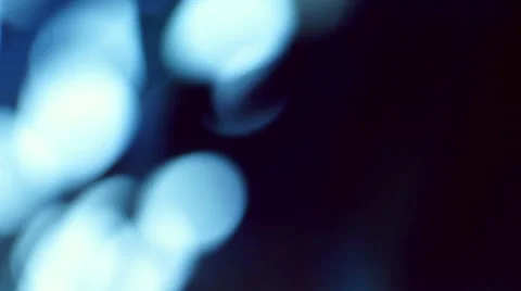 Cool Sunlight through foliage panning and de-focused. Video stock 50037391