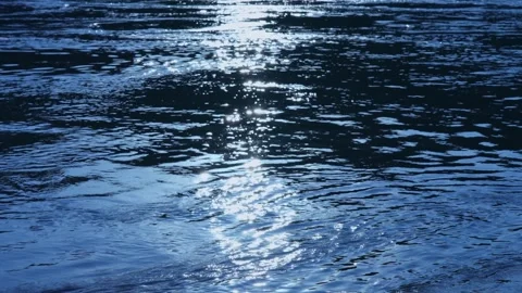 Cool-Toned Water Surface with Sunlight Reflection and Ripples Stock Footage 341855658