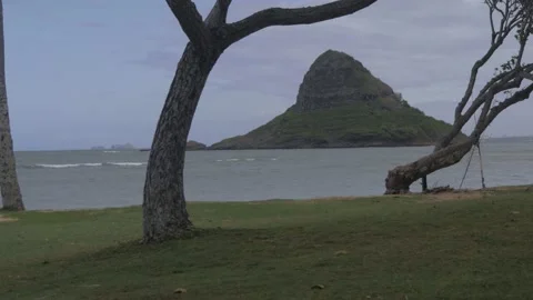Cool View Of Chinaman's Hat Island Through Trees At Kualoa Park In Oahu, Hawaii Stock Footage 154305098