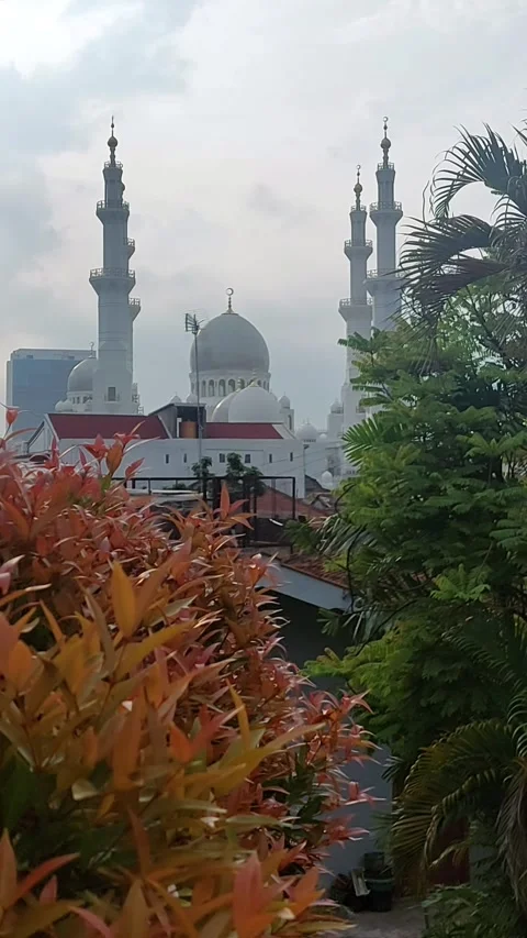Cool View, Mosque Beyond Plants Video stock 304676159